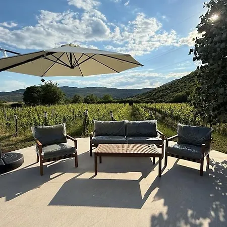 Vineyard With Mountain Views Podgorica