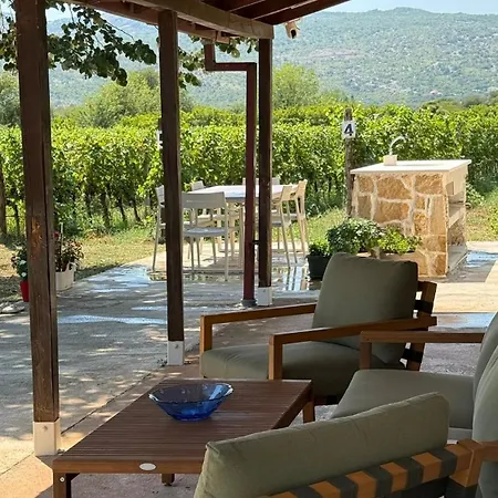 Сasa de vacaciones Vineyard With Mountain Views